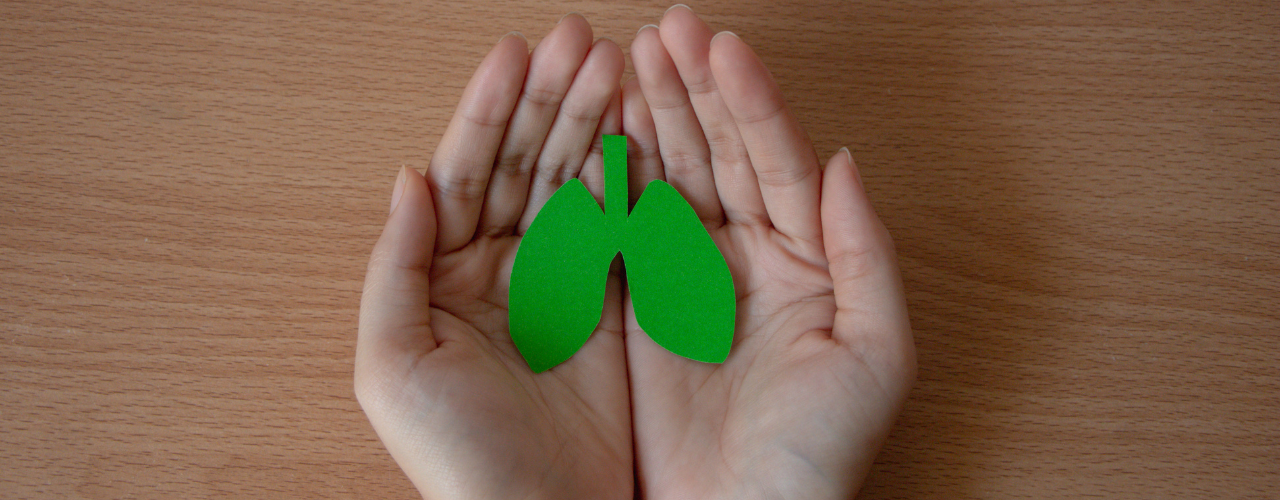 mãos segurando um coração de papel verde simbolizando o setembro verde mês da doação de orgãos