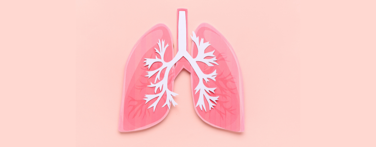 Ilustração dos pulmões humanos destacando os brônquios. Imagem com fundo rosa
