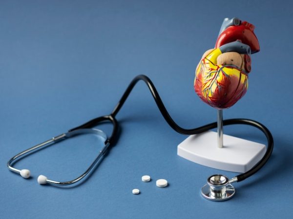 Medicamentos cardiovasculares: cuidados essenciais para a saúde do coração